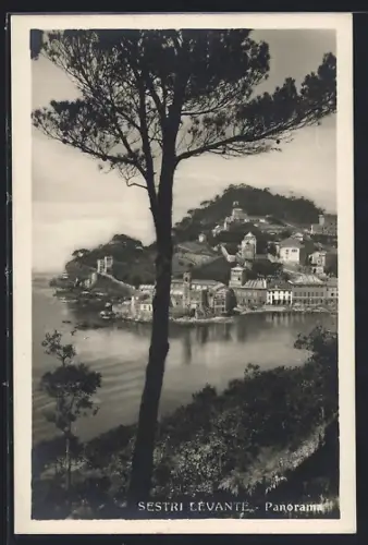 AK Sestri Levante, Panorama
