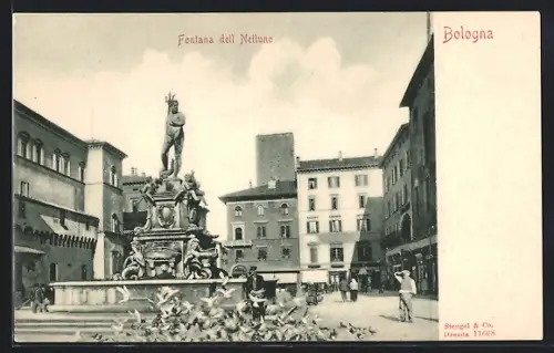 AK Bologna, Fontana dell Nettuno