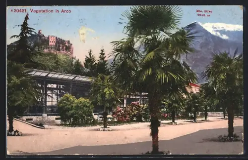 AK Arco, Partie mit Palmen & Mte. Stivo