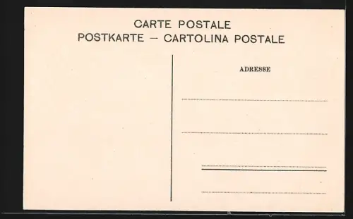 AK Salo /Lago di Garda, Ortspanorama vom Wasser aus