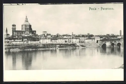 AK Pavia, Panorama