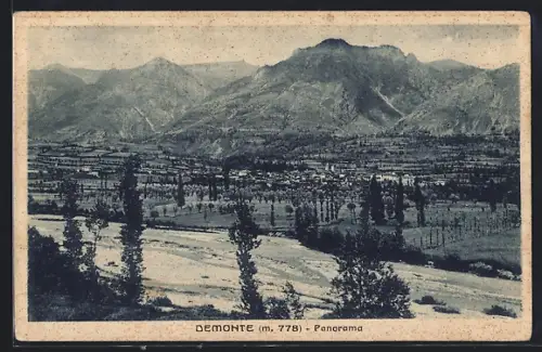 AK Demonte, Panorama