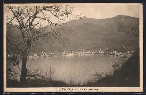 AK Porto Ceresio, Panorama