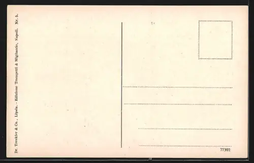 AK Napoli, Panorama di Posillipo