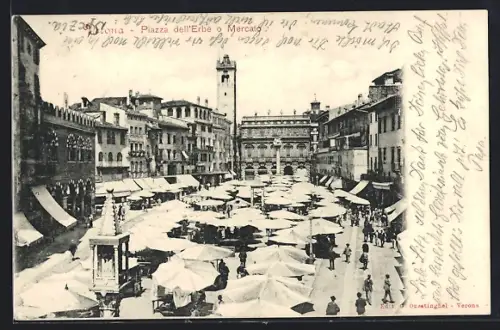 AK Verona, Piazza dell`Erbe o Mercato