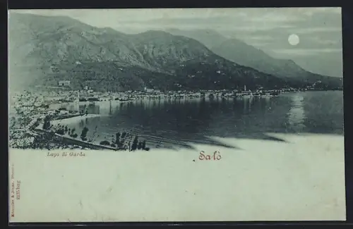 AK Salò, Panorama-Ansicht mit Ort, See und Bergen