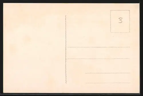 AK Toblino, Veduta del Castel Toblino col Lago