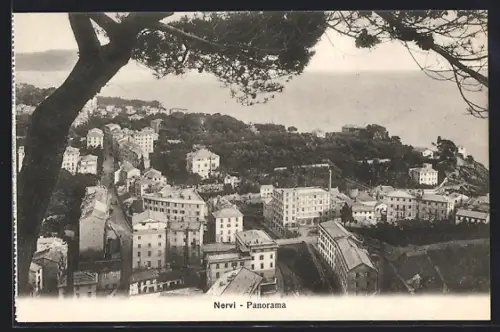 AK Nervi, Panorama