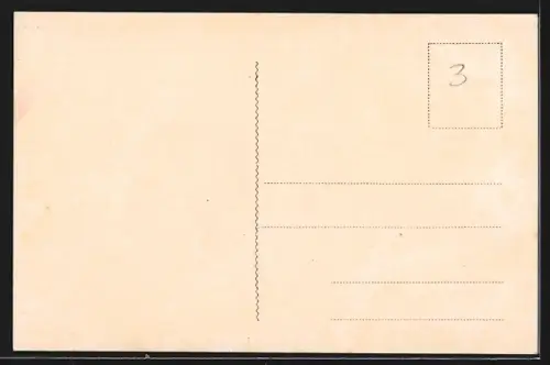 AK Trieste, Veduta del Canal Grande