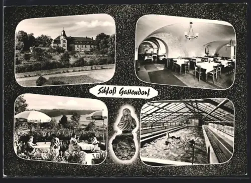 AK Gattendorf, Schloss Gattendorf, Restaurant, Terrasse, Gewächshaus