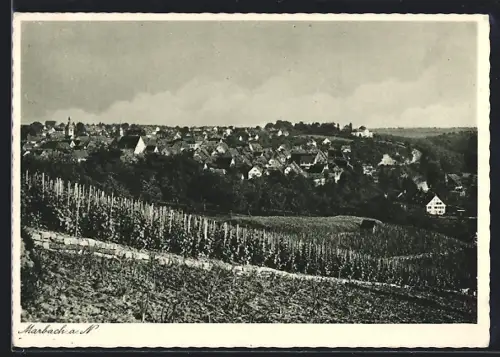 AK Marbach a. N., Stadtansicht mit Weinbergen