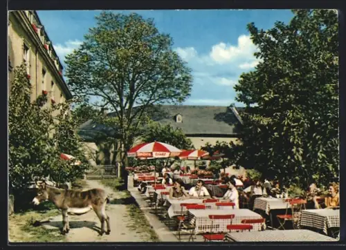 AK Gattendorf, Schloss Gattendorf, Biergarten, Hotel, Café