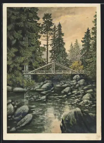 AK Höllental /Frankenwald, Holzbrücke über Bach im Wald