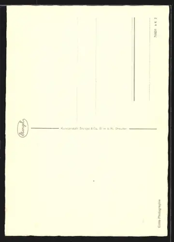 AK Braunschweig, Burg Dankwarderode