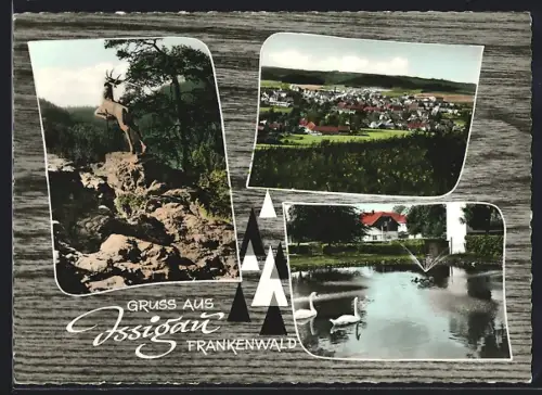 AK Issigau /Frankenwald, Hirsch-Statue, Ortsansicht, Teich mit Schwänen
