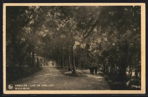 AK Virelles /Lac de Virelles, Sous-Bois