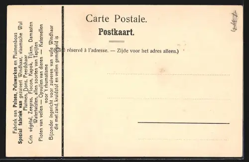 AK Elsegem, Le Château