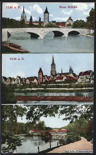 AK Ulm a. D., Neue Brücke, Münster, Friedrichsau-See
