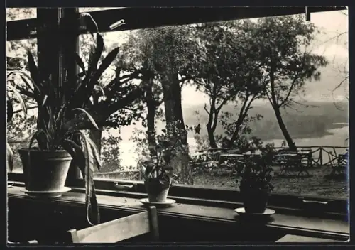 AK Buckow /Märk. Schweiz, HO-Gaststätte Bollersdorfer Höhe, Blick aus dem Fenster