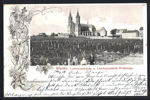 AK Worms, Liebfrauenkirche, Liebfrauenmilch-Weinberge