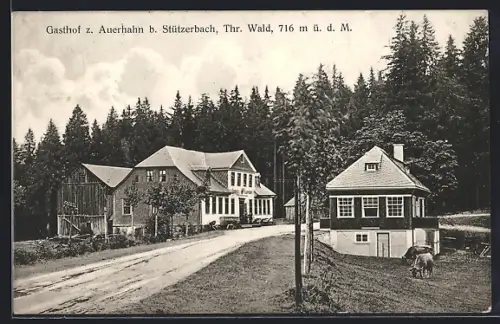 AK Stützerbach /Thüringer Wald, Gasthof zum Auerhahn