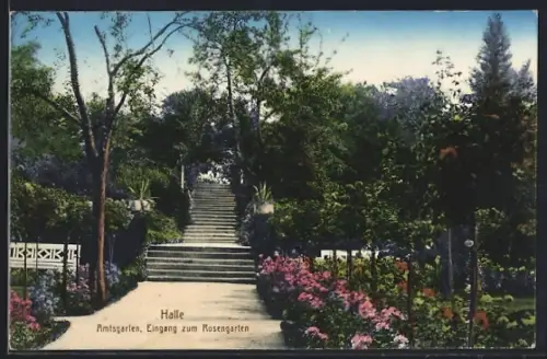 AK Halle / Saale, Amtsgarten, Eingang zum Rosengarten