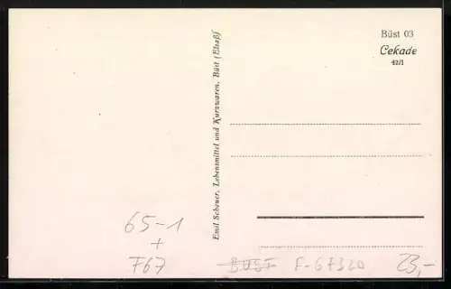 AK Büst /Elsass, Blick auf den Bahnhof