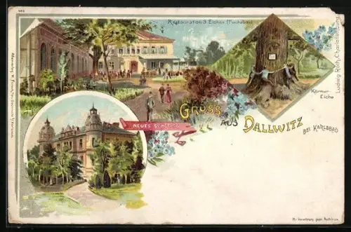 Lithographie Dallwitz, Neues Schloss, Körner-Eiche, Restauration 3 Eichen (Fuchsbau)