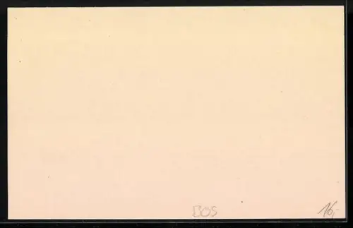 AK Mostar, Narenta-Hotel