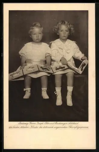 AK Erzherzog Franz J. Otto und Erzherzogin Adelheid mit Bilderbuch