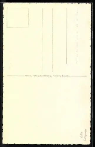 AK Passau, Domorgel, erbaut von Steinmeyer in Oettingen