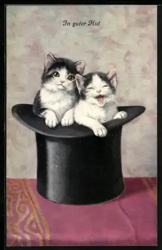 AK 2 Kätzchen im Zylinder