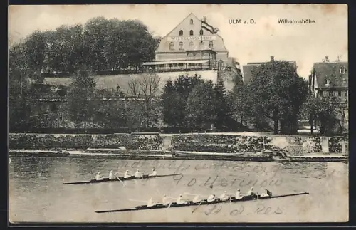 AK Ulm a. D., Gasthof Wilhelmshöhe, Ruderer auf der Donau