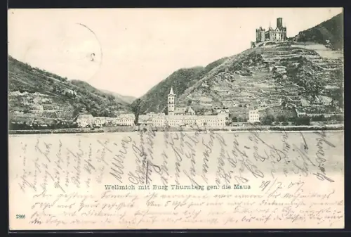 AK Wellmich, Burg Thurnberg gen. die Maus, Ortsansicht