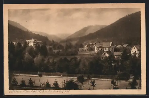 AK Gr. Tabarz /Thür. Wald, Blick in den Lauchagrund