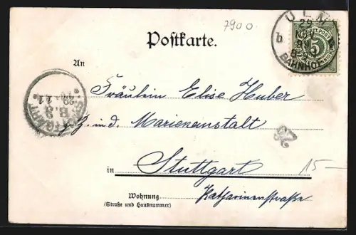 AK Ulm / Donau, Münster und Stadtansicht an der Donau