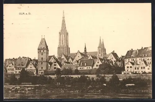 AK Ulm a. D., Stadtansicht mit Münster