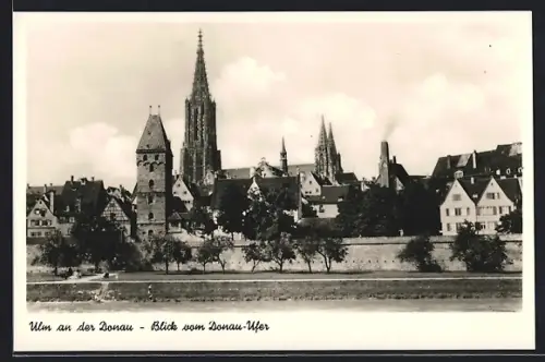 AK Ulm an der Donau, Blick vom Donau-Ufer auf Münster und Altstadt