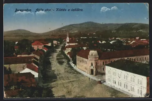 AK Beregszász, Atilla utca, Kilátás a szölökre