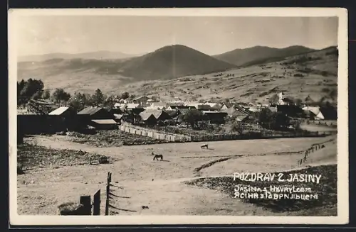 AK Jasina, Gesamtansicht mit Umgebung