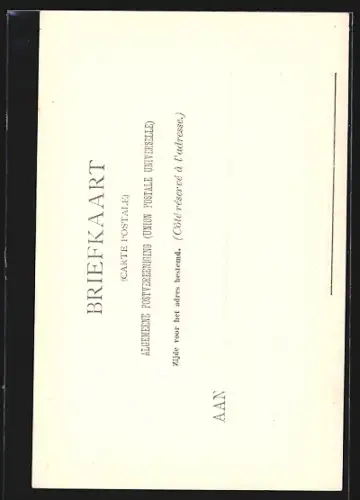 AK Zaandam, `t Kalf, Stationsplein, Oostzijde, Blauwe Pad