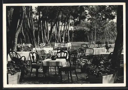 AK Marina di Pietrasanta /Lucca, Hotel Pensione Suisse, La Pineta