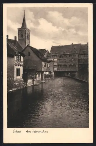 AK Erfurt, Am Dämmchen, Flussansicht mit Kirche und Fachwerkhäusern