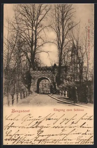 AK Hamburg-Bergedorf, Eingang zum Schloss, Portal