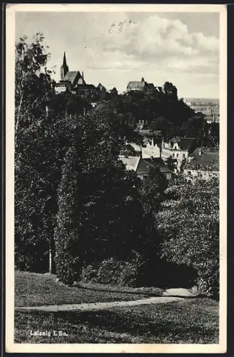 AK Leisnig i. Sa., Ortsansicht mit Kirche und Schloss