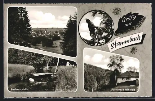 AK Stammbach /Fichtelgebirge, Perlenbachtal, Forsthaus Winklas, Ortsansicht