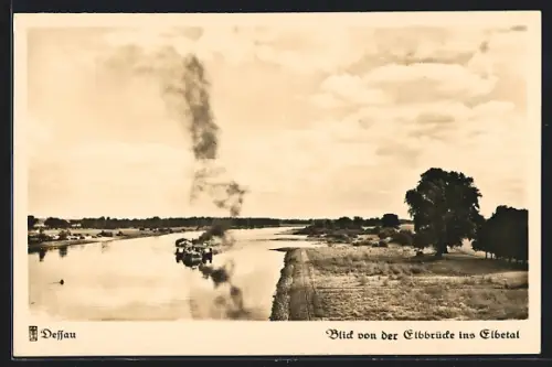AK Dessau, Blick von der Elbbrücke ins Elbetal