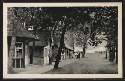 AK Prerow, Reetgedeckte Häuser