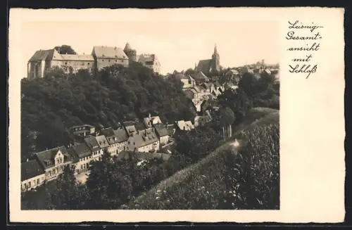 AK Leisnig, Gesamtansicht mit Schloss