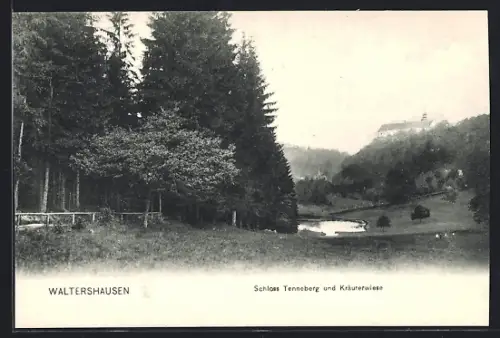 AK Waltershausen, Schloss Tenneberg und Kräuterwiese